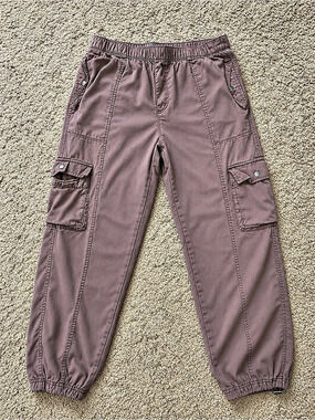 C&C California Cargo Jogger Pants in Purple